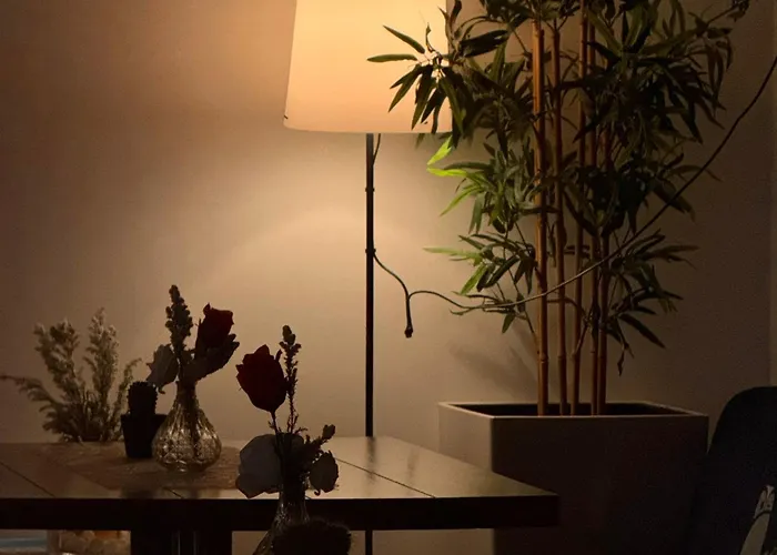 Estelada Boarding Houses City München